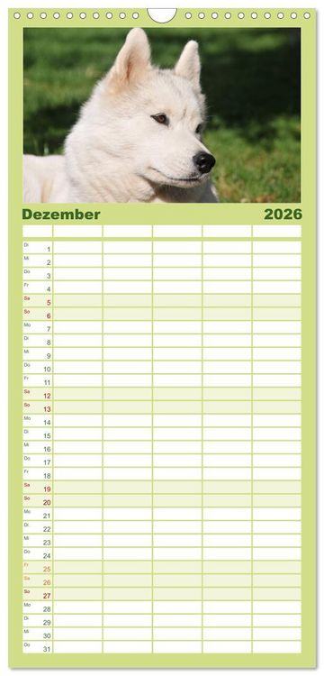 Produktbild: Familienplaner 2026 - Siberian Husky - der Urtyp mit 5 Spalten (Wandkalender, 21 x 45 cm) CALVENDO