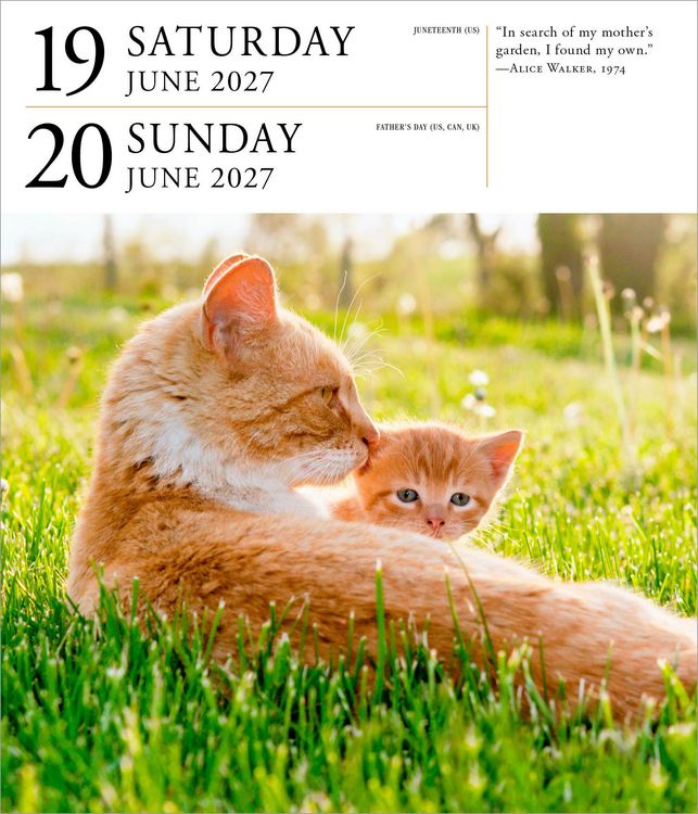 Produktbild: Cat Page-A-Day&reg; Gallery Calendar 2027