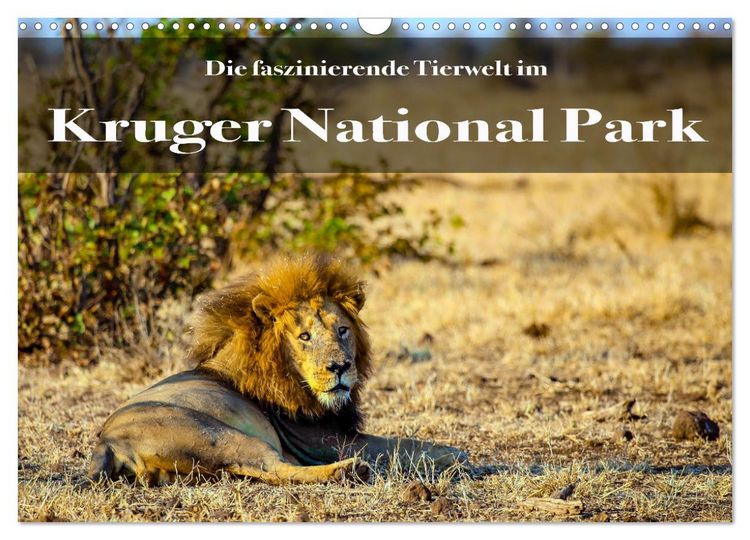Produktbild: Faszinierende Tierwelt des Kruger National Parks (Wandkalender 2026 DIN A3 quer), CALVENDO Monatskalender