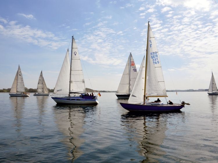 Produktbild: Segelyachten auf der Flensburger F&ouml;rde (Puzzle)
