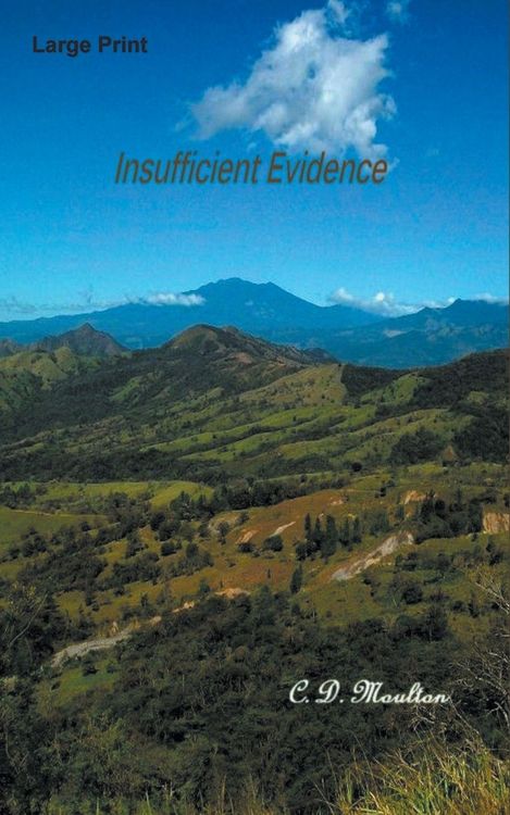 Produktbild: Insufficient Evidence