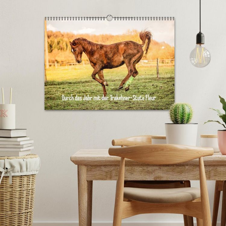 Produktbild: Durch das Jahr mit der Trakehner-Stute Fleur (Wandkalender 2026 DIN A3 quer), CALVENDO Monatskalender
