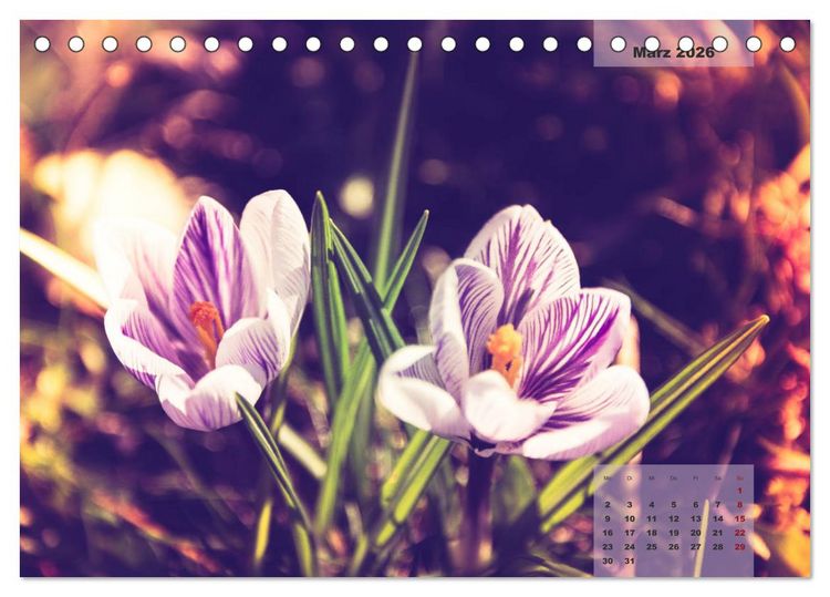 Produktbild: Bl&uuml;ten im Retro-Style (Tischkalender 2026 DIN A5 quer), CALVENDO Monatskalender