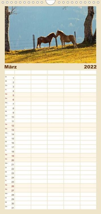 Produktbild: Familienplaner Pferde und Ponys im Paradies (Wandkalender 2022 , 21 cm x 45 cm, hoch)