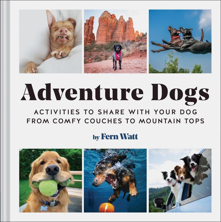 Produktbild: Adventure Dogs