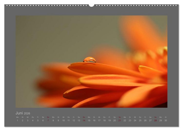 Produktbild: Kleine, gro&szlig;e Tropfenwelt (hochwertiger Premium Wandkalender 2026 DIN A2 quer), Kunstdruck in Hochglanz