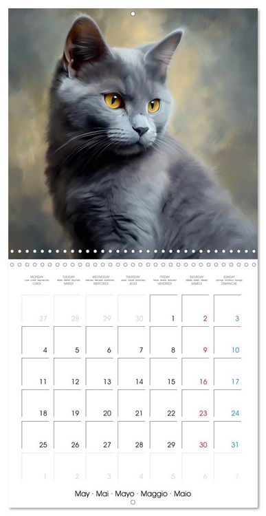 Produktbild: Illustrations Chatons (Calendrier mural carr&eacute; 2026 30x30 cm) Calendrier double avec une page pour vos prises de notes