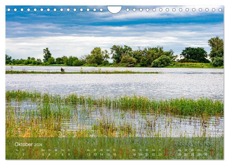 Produktbild: der elbestrom (Wandkalender 2026 DIN A4 quer), CALVENDO Monatskalender