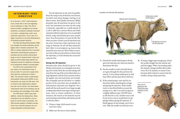 Produktbild: Storey's Guide to Raising Beef Cattle, 4th Edition