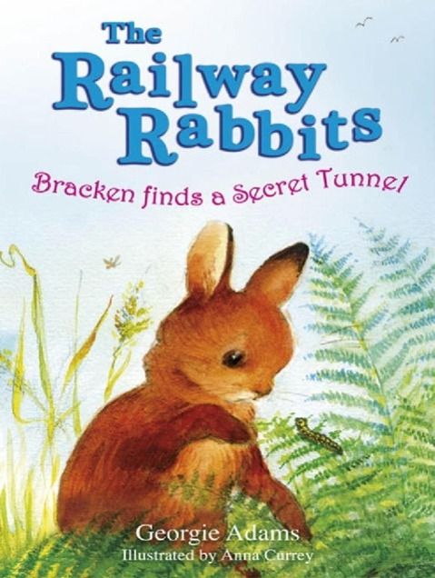 Produktbild: Railway Rabbits: Bracken Finds a Secret Tunnel