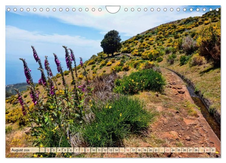 Produktbild: Madeira - blaues Wasser, gr&uuml;ne Berge, bunte Blumen (Wandkalender 2026 DIN A4 quer), CALVENDO Monatskalender