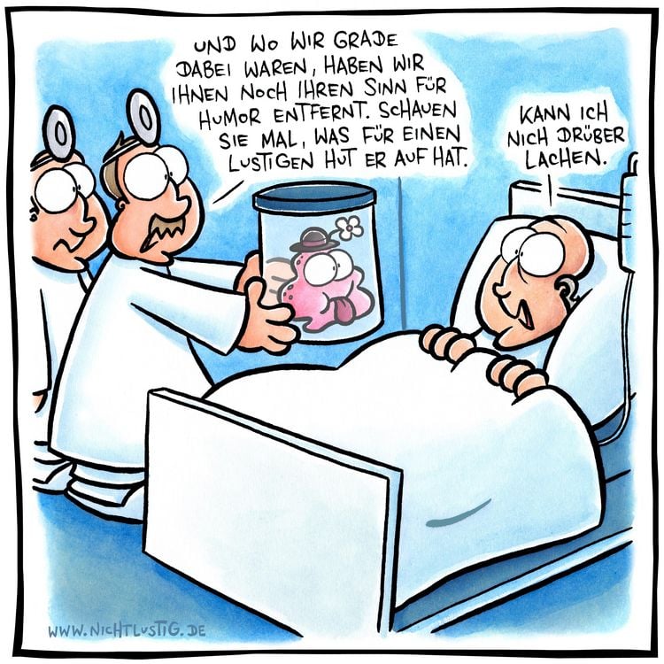 Produktbild: NICHTLUSTIG Cartoons 2004-2006