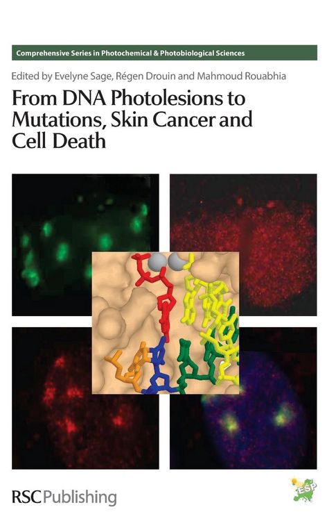 Produktbild: From DNA Photolesions to Mutations, Skin Cancer and Cell Death