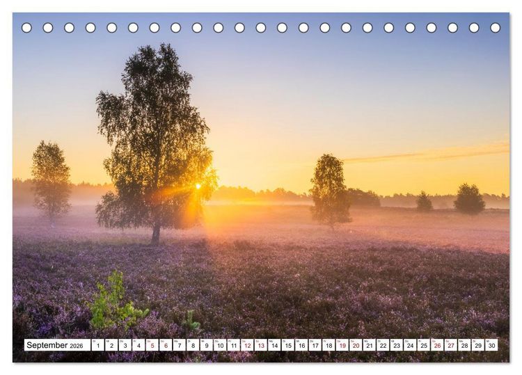 Produktbild: Sonnige Augenblicke (Tischkalender 2026 DIN A5 quer), CALVENDO Monatskalender