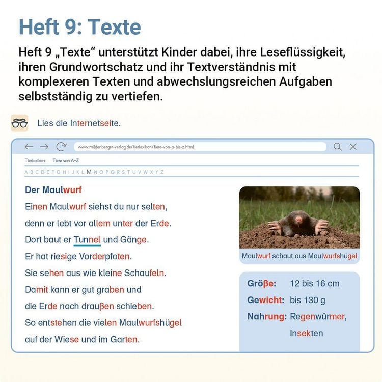 Produktbild: Lesen mit Rico Schnabel, Heft 9: Texte