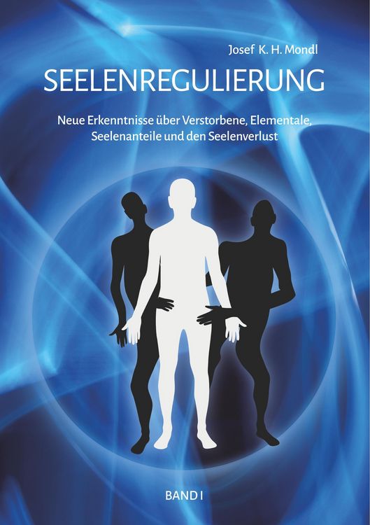 Produktbild: Seelenregulierung Band 1