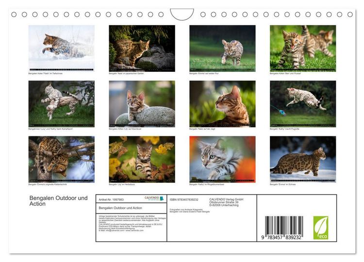 Produktbild: Bengalen Outdoor und Action (Wandkalender 2026 DIN A4 quer), CALVENDO Monatskalender