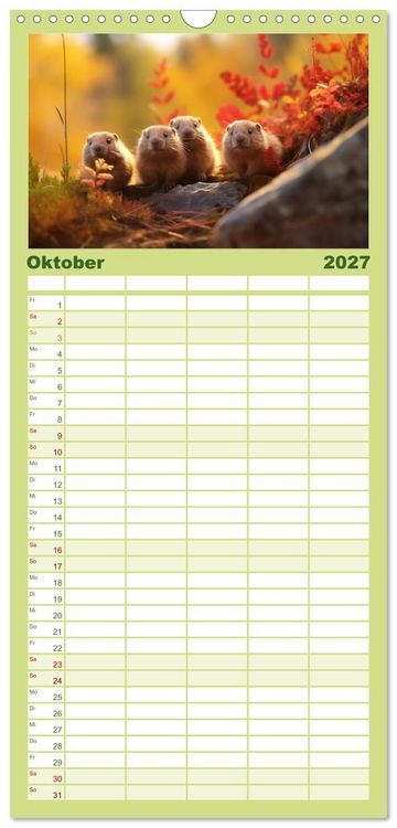 Produktbild: Familienplaner 2027 - Nach Art der Lemminge mit 5 Spalten (Wandkalender, 21 x 45 cm) CALVENDO