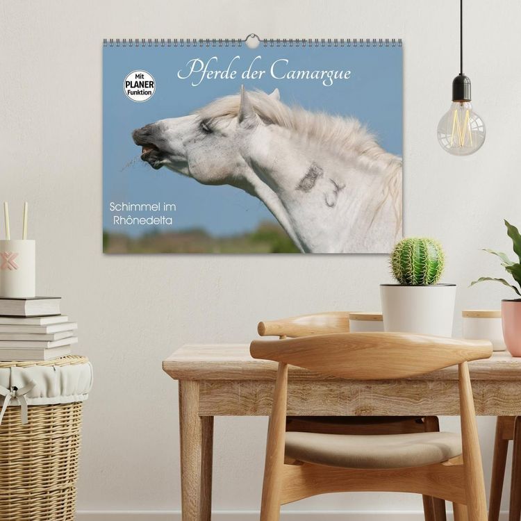 Produktbild: Pferde der Camargue &ndash; Schimmel im Rh&ocirc;nedelta (Wandkalender 2027 DIN A3 quer), CALVENDO Monatskalender