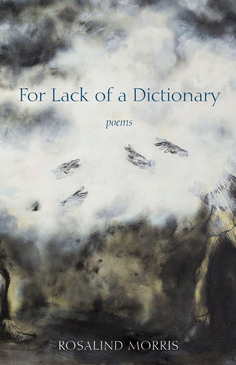 Produktbild: For Lack of a Dictionary
