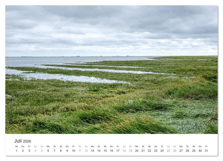 Produktbild: Hamburger Hallig - Der Weg ist das Ziel (Wandkalender 2026 DIN A4 quer), CALVENDO Monatskalender