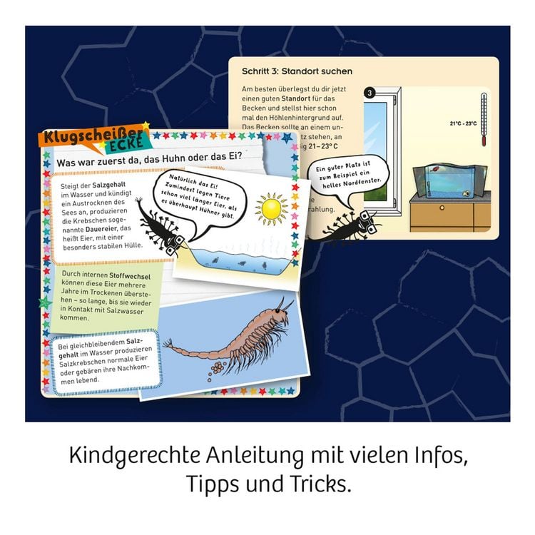 Produktbild: Fun Science Wuselnde Salzkrebse