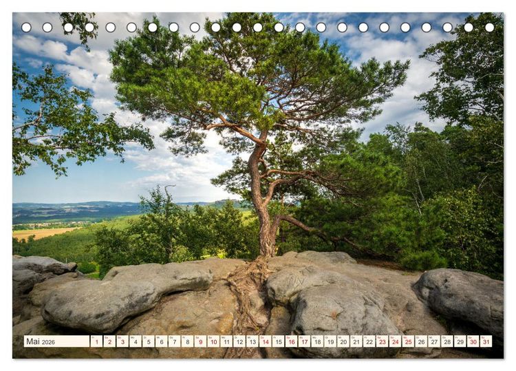 Produktbild: Im Zauber der W&auml;lder (Tischkalender 2026 DIN A5 quer), CALVENDO Monatskalender