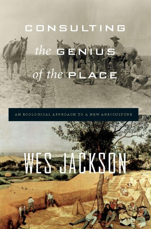 Produktbild: Consulting the Genius of the Place