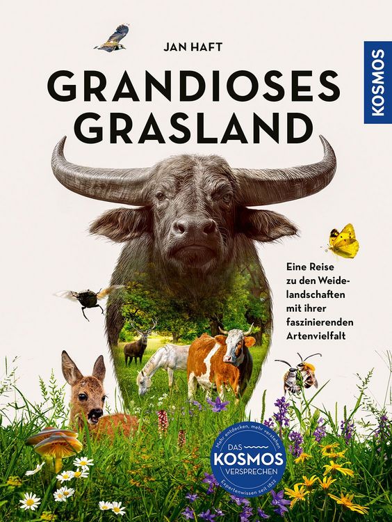 Produktbild: Grandioses Grasland