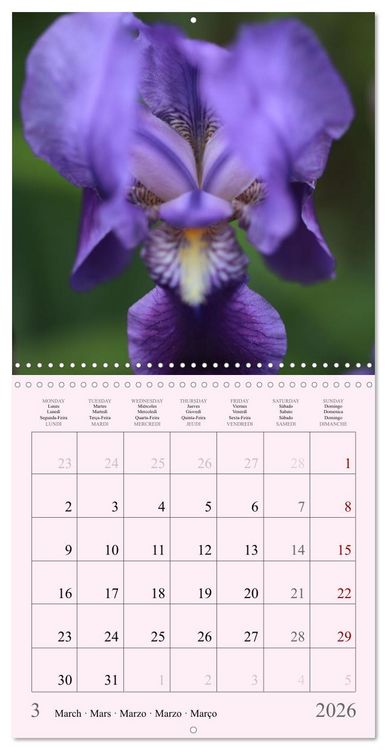 Produktbild: Les saisons en fleurs (Calendrier mural carr&eacute; 2026 30x30 cm) Calendrier double avec une page pour vos prises de notes
