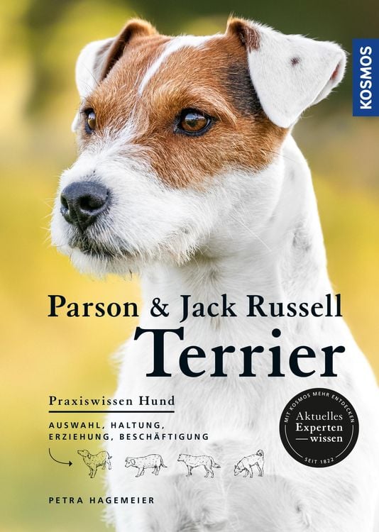 Produktbild: Parson und Jack Russell Terrier