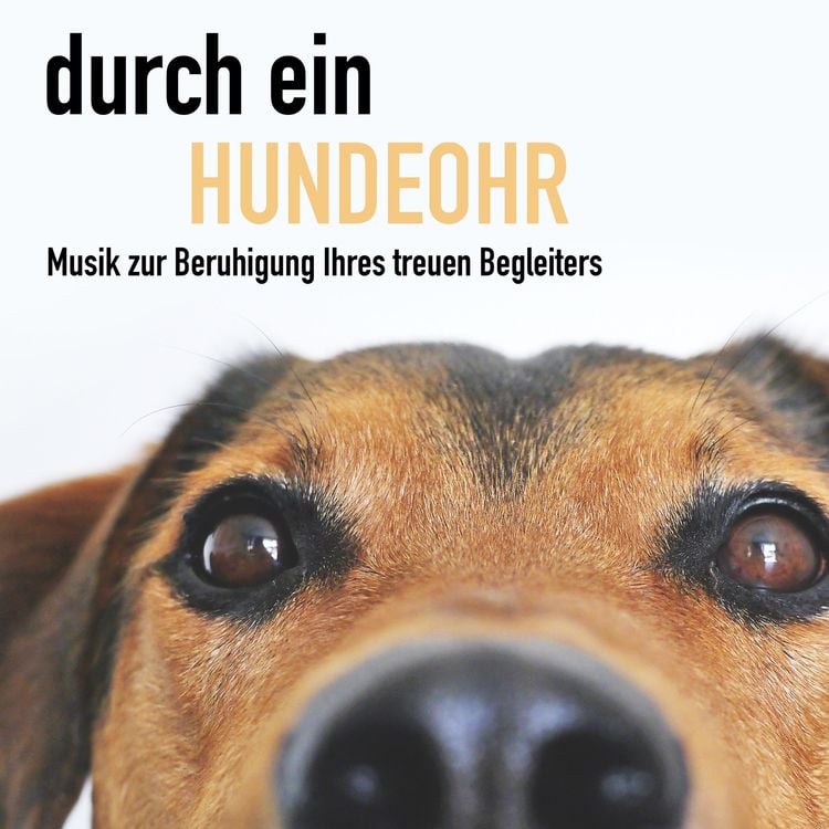 Produktbild: Durch ein Hundeohr - Entspannungsmusik f&uuml;r Hunde