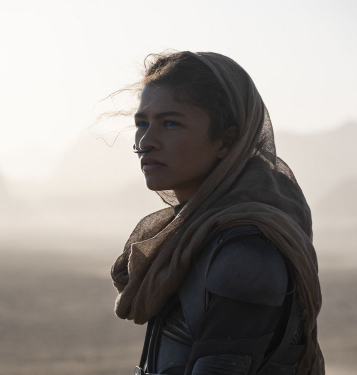 Produktbild: Dune (+ Blu-ray 2D)