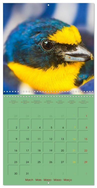 Produktbild: Douze oiseaux de la capitale du Costa Rica (Calendrier mural carr&eacute; 2026 30x30 cm) Calendrier double avec une page pour vos prises de notes