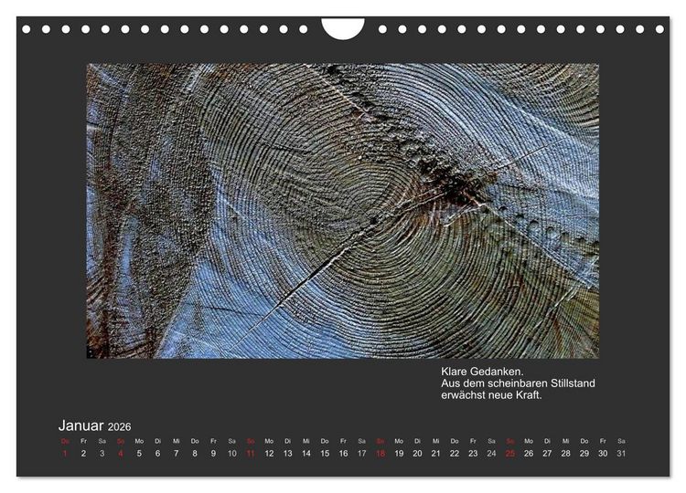 Produktbild: MAGIE HOLZ 2026 (Wandkalender 2026 DIN A4 quer), CALVENDO Monatskalender