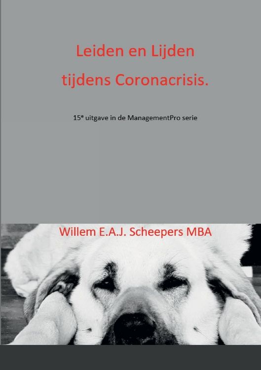 Produktbild: Leiden en Lijden tijdens Coronacrisis.