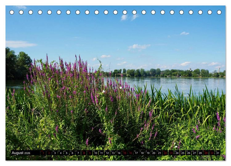 Produktbild: Die Renaissancestadt Mantua (Tischkalender 2026 DIN A5 quer), CALVENDO Monatskalender