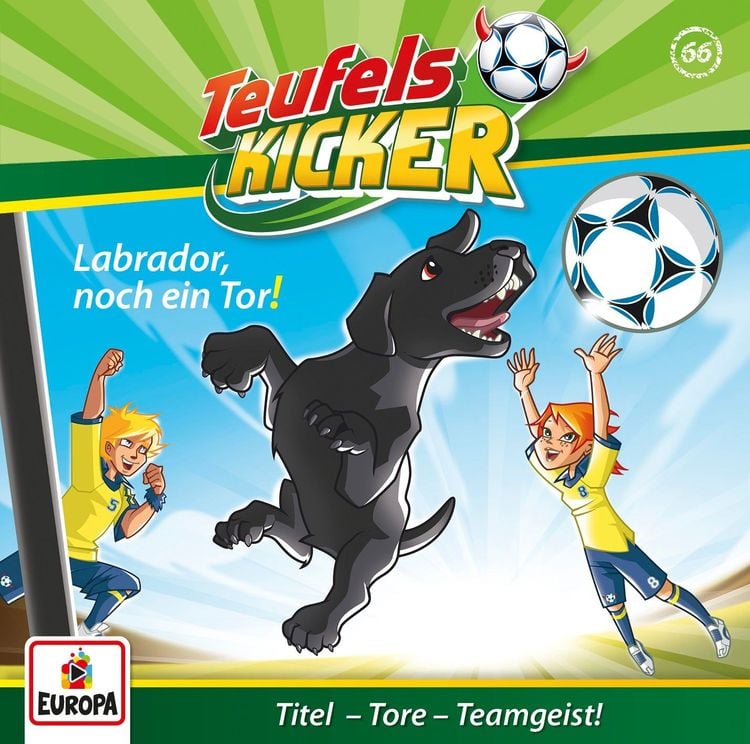Labrador,noch ein Tor! / Teufelskicker Band 66