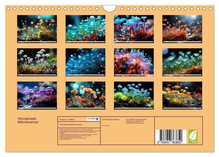 Produktbild: Wunderwelt Mikrokosmos (Wandkalender 2026 DIN A4 quer), CALVENDO Monatskalender