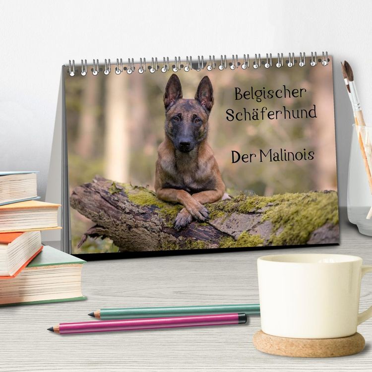 Produktbild: Belgischer Sch&auml;ferhund - Der Malinois (Tischkalender 2026 DIN A5 quer), CALVENDO Monatskalender