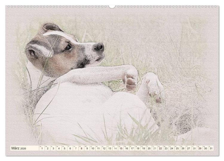 Produktbild: Bodeguero Andaluz 2026 (hochwertiger Premium Wandkalender 2026 DIN A2 quer), Kunstdruck in Hochglanz