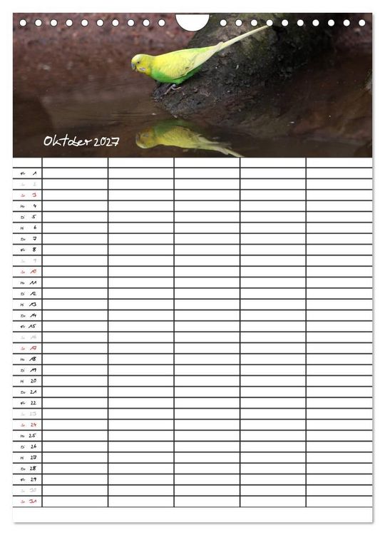 Produktbild: Wellensittiche (Wandkalender 2027 DIN A4 hoch), CALVENDO Monatskalender