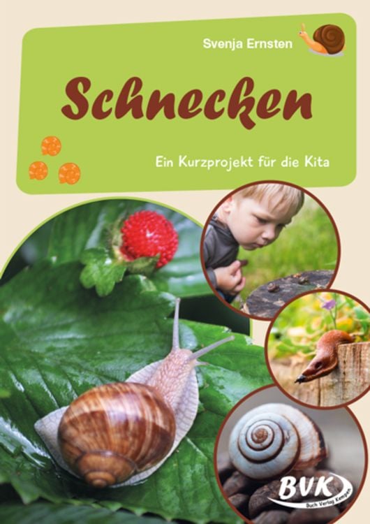 Produktbild: Schnecken