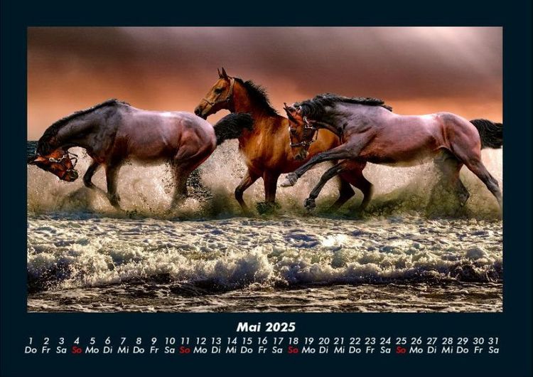 Produktbild: Pferde Kalender 2025 Fotokalender DIN A4