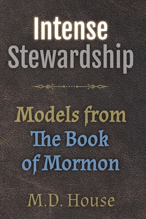 Produktbild: Intense Stewardship