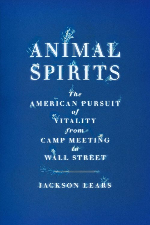 Produktbild: Lears, J: Animal Spirits