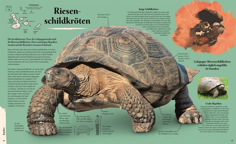 Produktbild: Galapagos