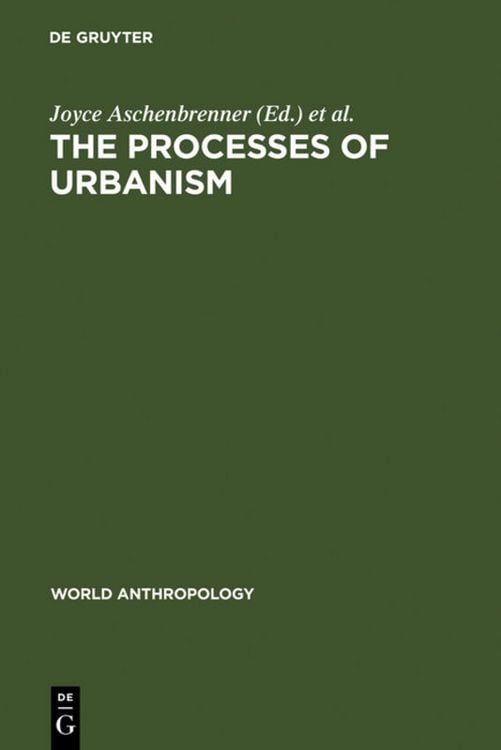 Produktbild: The Processes of Urbanism