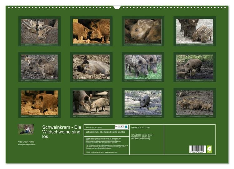 Produktbild: Schweinkram - Die Wildschweine sind los (Wandkalender 2026 DIN A2 quer), CALVENDO Monatskalender