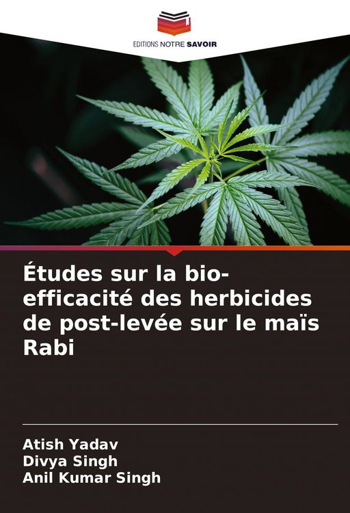 Produktbild: &Eacute;tudes sur la bio-efficacit&eacute; des herbicides de post-lev&eacute;e sur le ma&iuml;s Rabi